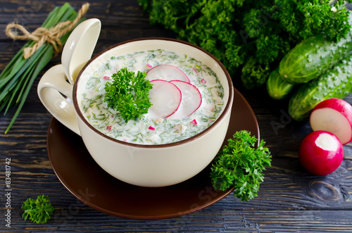 Russian spring and summer cold soup  with kefir