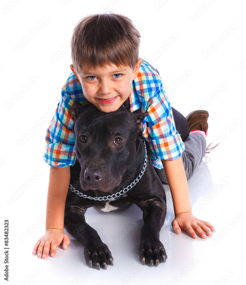 Obraz Boy with his Pit Bull Terrier
