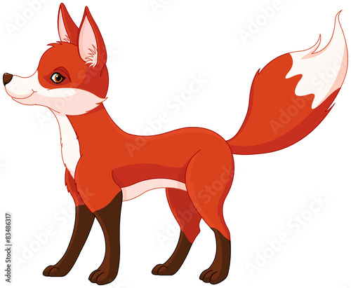 Red fox