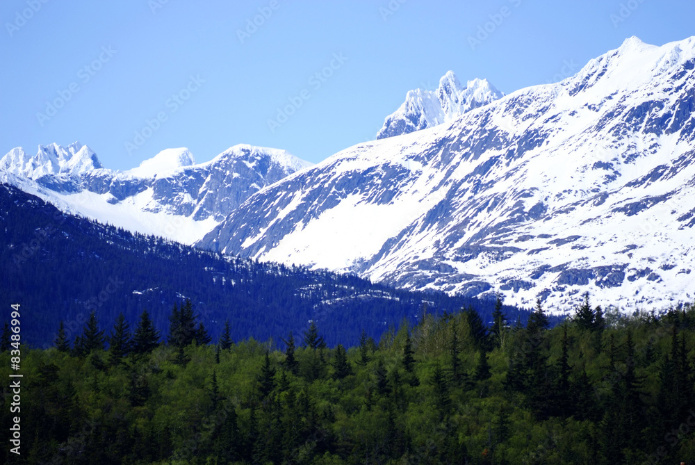 A White Mountain on the Road to Skagway Alaska