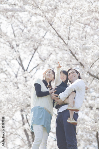 桜並木を散歩する家族