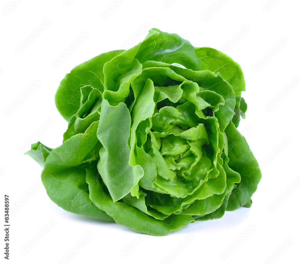 Fresh green lettuce isolated on white Fresh green lettuce isolated on white