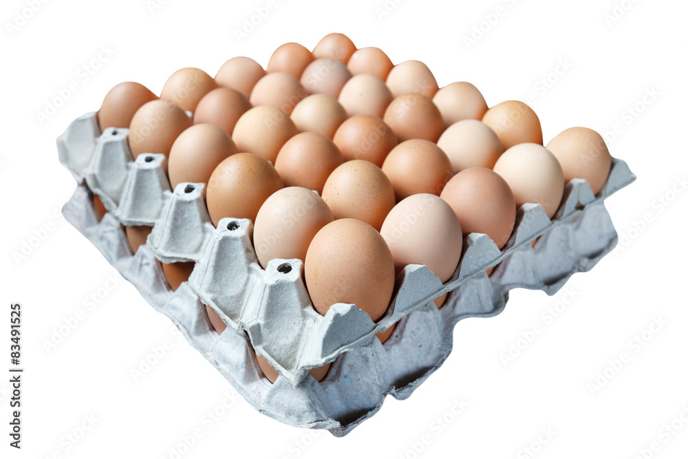 Eggs in paper tray isolate on white background