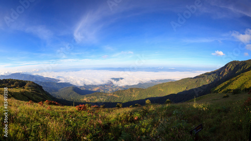 Panorama fog over the mountain at Doi Inthanon national park, Th