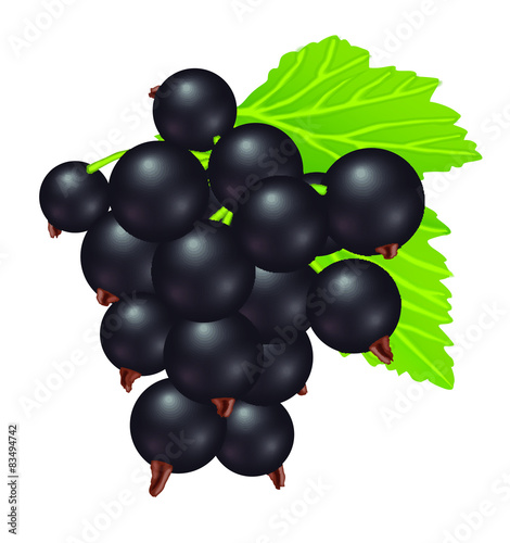 Pure Blackberry