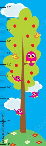 Fototapeta las,sowy,miarka