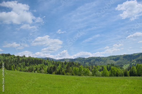 Fototapeta Naklejka Na Ścianę i Meble -  Landscape with mountain in background.