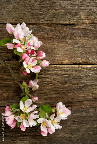 Fototapeta Naklejka Na Ścianę i Meble -  apple blossoms on wooden surface