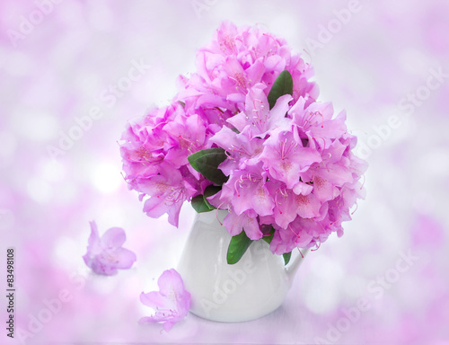 Still Life with rhododendron flowers in white jug.