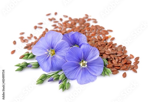 Flax seeds with flowers #83499754