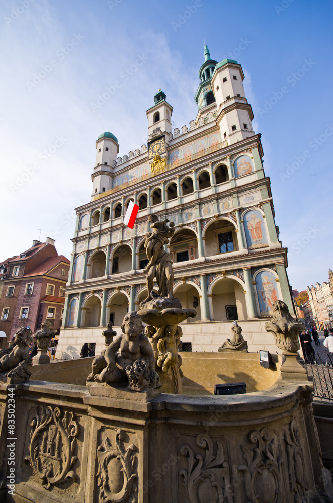 Fototapeta premium Fountain and town hall in Poznan, Poland