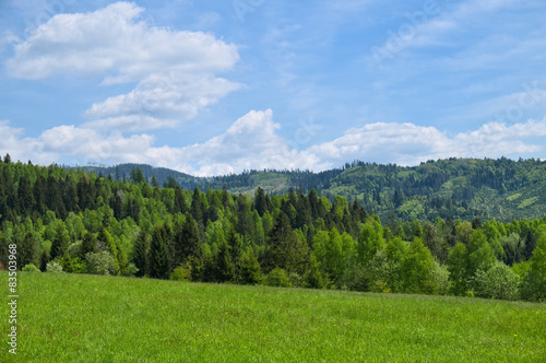 Landscape with mountain in background. © Marek Walica