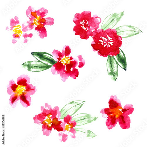Fototapeta Naklejka Na Ścianę i Meble -  Collection of watercolor camellia flowers