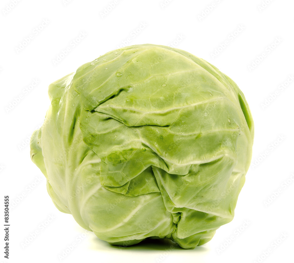 cabbage cabbage