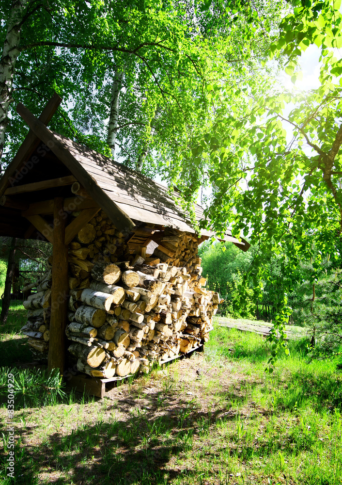 Pile of firewood Pile of firewood