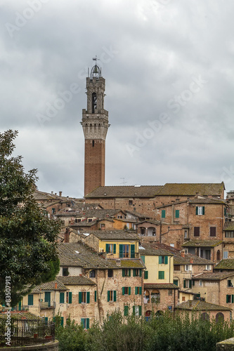 view of Siena, Italy