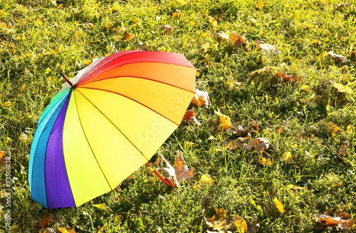 Colorful umbrella on grass, outdoors