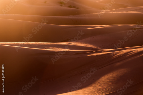 Sand dunes in the desert at sunset © luisapuccini
