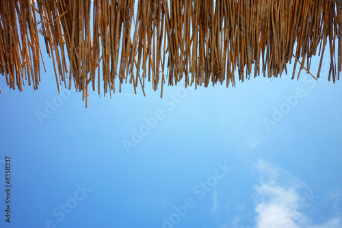 Bild auf Leinwand canopy of straw