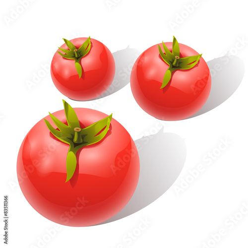 tomatos 1