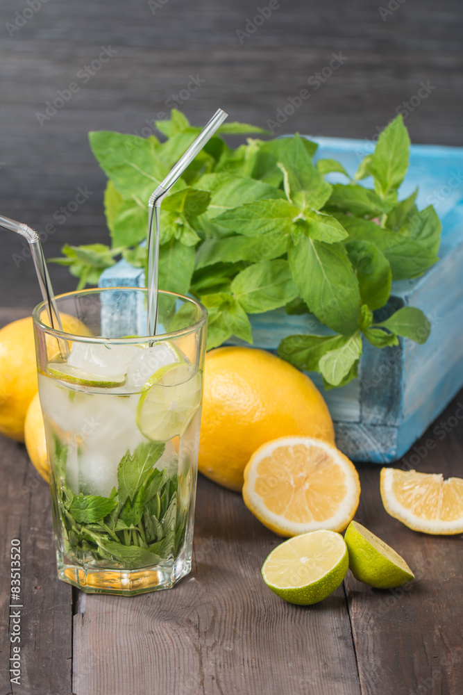 Fototapeta premium Lemonade with fresh lemon and mint