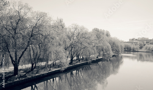 Monochrome River and Trees © RayBond