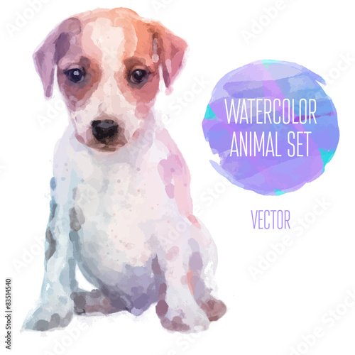 Vector set of watercolor illustrations. Cute jack russel