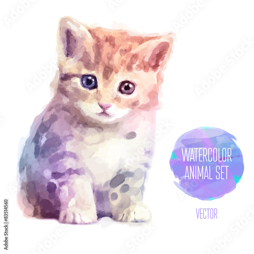 Vector set of watercolor illustrations. Cute cat