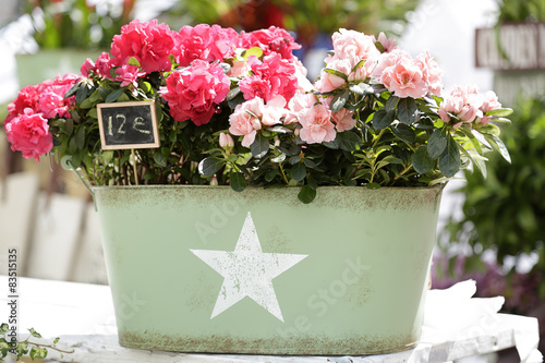 Fototapeta Naklejka Na Ścianę i Meble -  Metal green bucket full of pink flowers