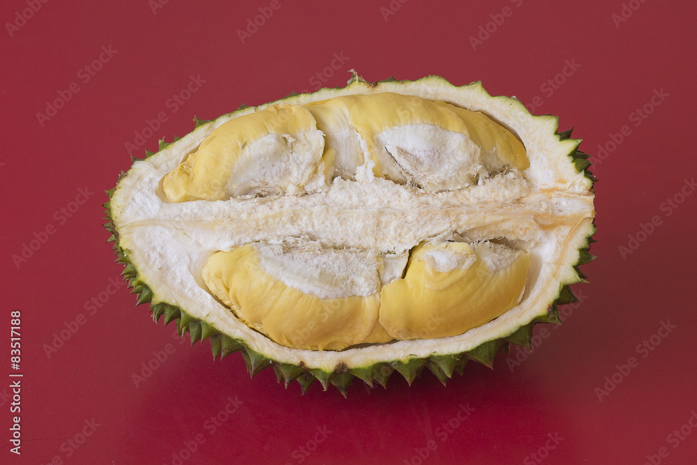 Fototapeta premium King of fruits, durian on red background