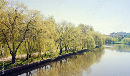 River and Trees