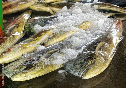 Large Dolphinfish for Sale at the Market