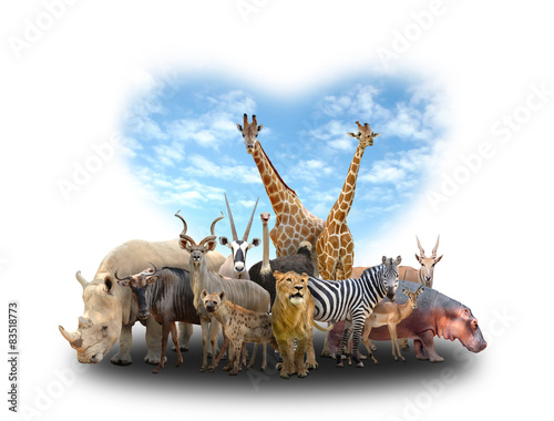 Fototapeta Naklejka Na Ścianę i Meble -  group of africa animals