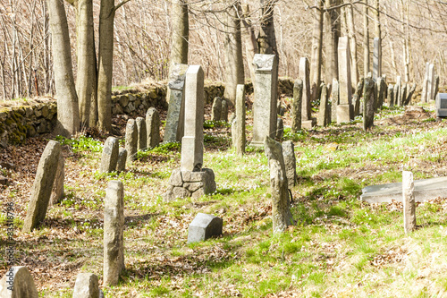 Jewish cemetery, Batelov, Czech Republic photo