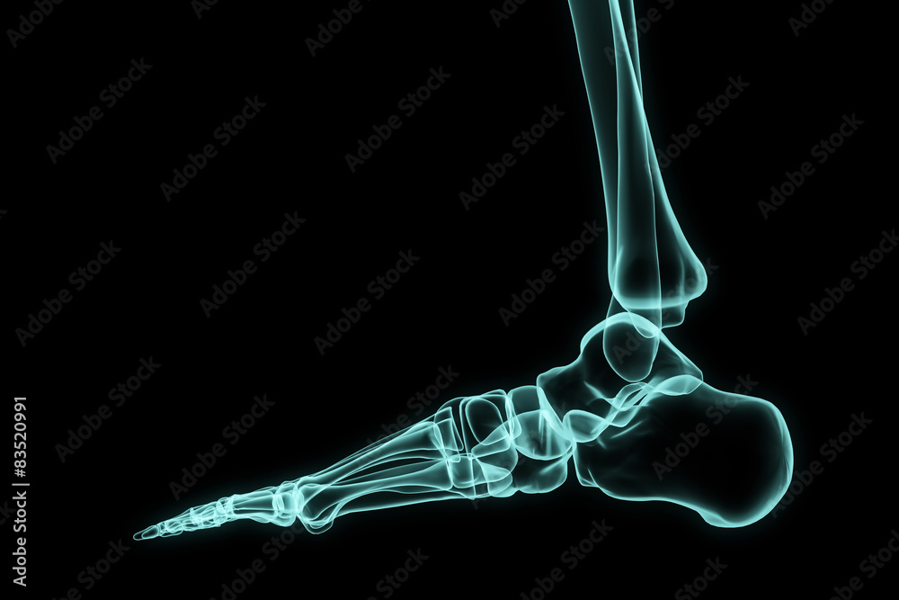 X-ray foot. Stock Illustration | Adobe Stock