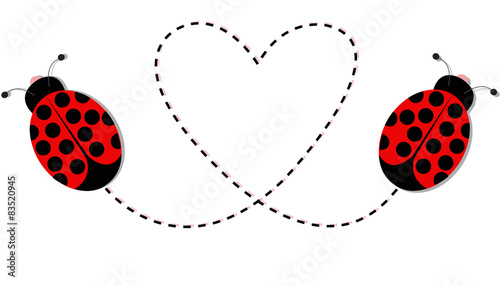 Ladybird