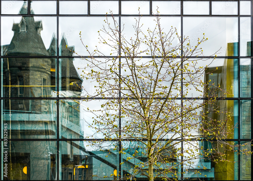 Fototapeta premium modern office building exterior with many windows, and trees