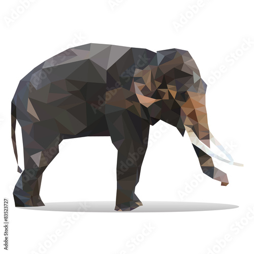 big elephant polygon isolated on white background vector photo