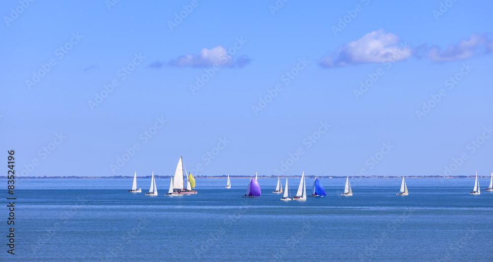 Fototapeta premium Voiliers