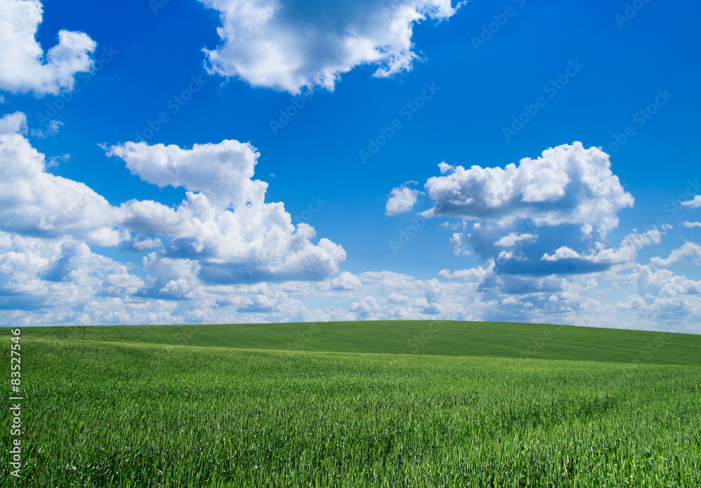 green field green field