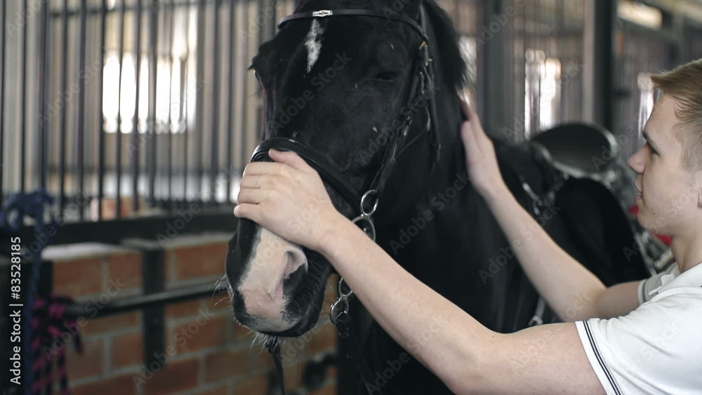 Hippotherapy Hippotherapy