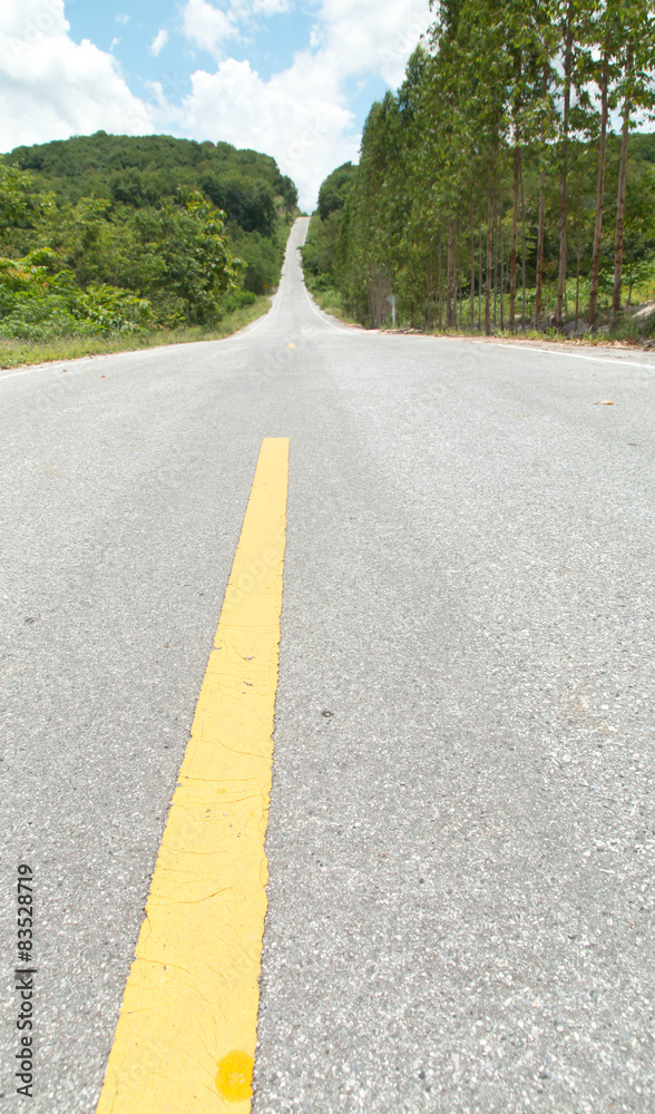 Treelined country road Treelined country road