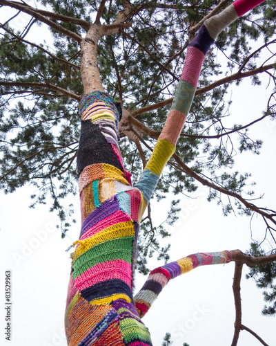 Denmark, Odense, Yarn bombing on tree photo
