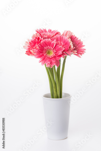 Wallpaper Mural Pink gerbera flower Torontodigital.ca