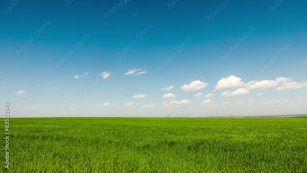 Blue clouds on a background of green field Blue clouds on a background of green field