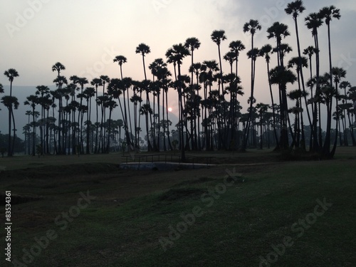 India, Andhra Pradesh, Sunset photo