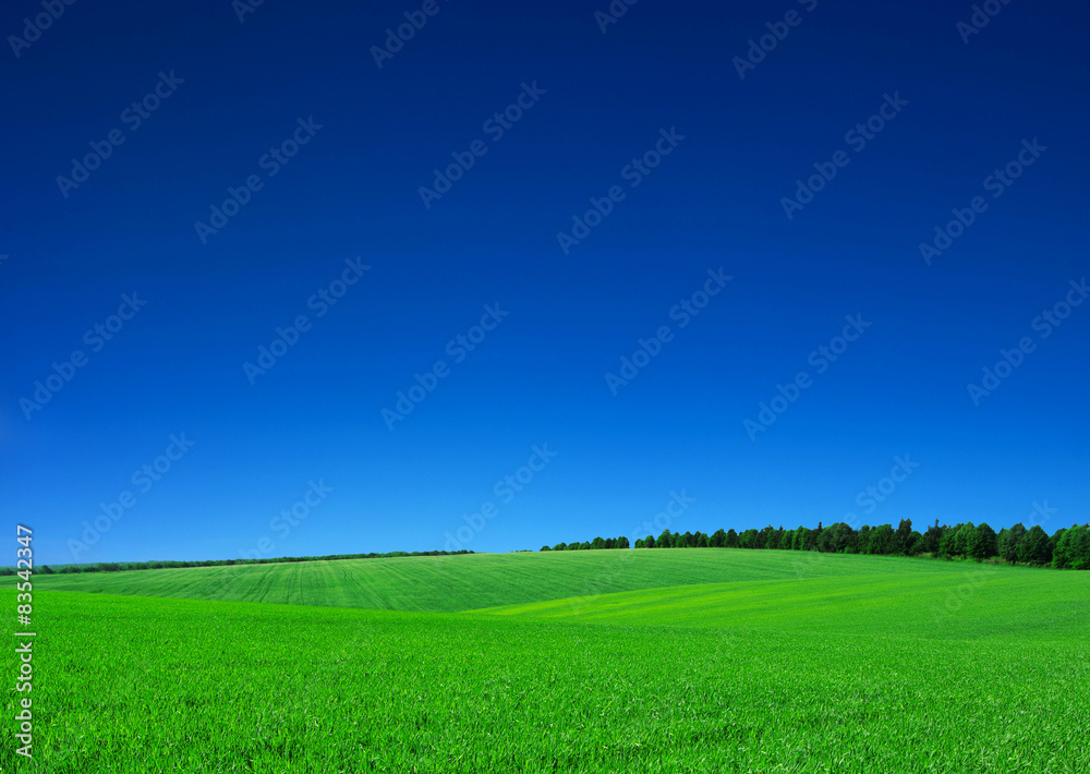 green field green field