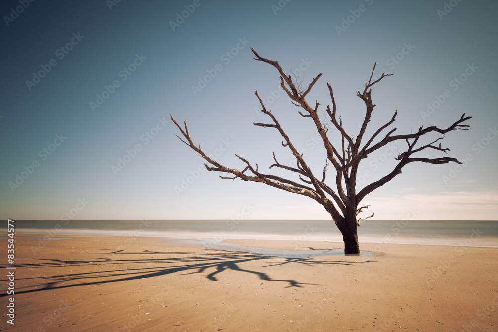 Botany Bay beach