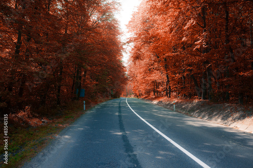 asphalt road through autumn forest