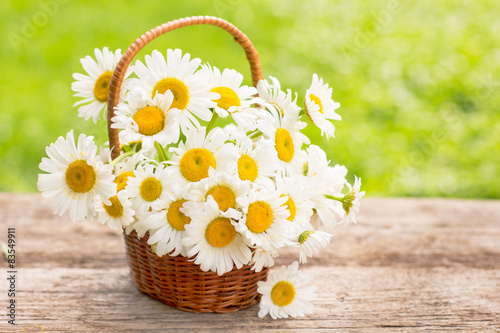 Fototapeta Naklejka Na Ścianę i Meble -  Daisy flowers in the small basket